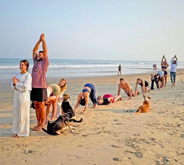 Yoga Retreat in Goa Yoga Retreat in Goa